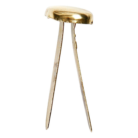 Société créative https : www.ccobby.nl split pins-l-20-mm-gold-70-piece-1-box