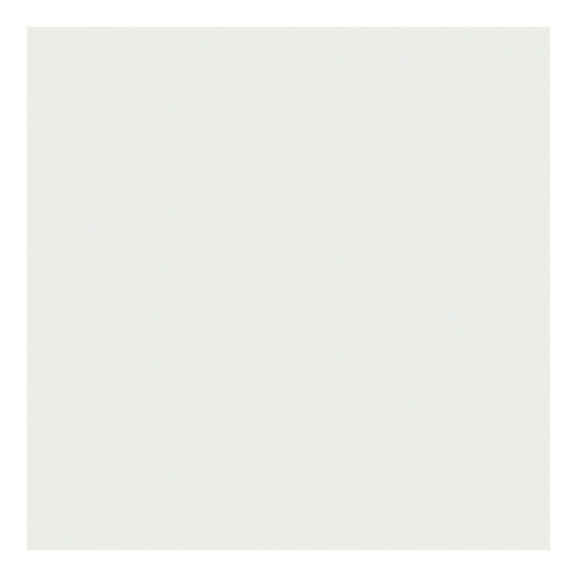 Creative Company TissuePapier White 10 fogli 14 gr, 50x70cm