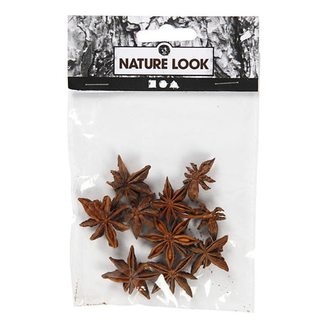 Entreprise créative https: www.ccobby.nl star-anise-10-piece-1-box