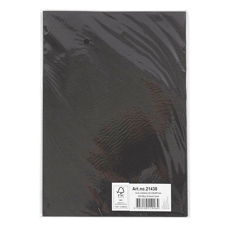 Creativ company cc carton a4 noir 220gr 10 feuilles