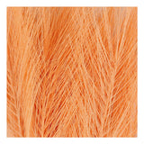 Caristiv Company Kunstveren Oranje, 10e.