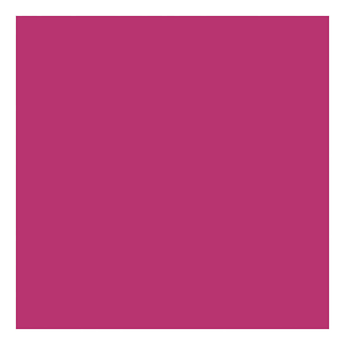 Colory Company Couleur textile de couverture de peinture textile - Fuchsia, 50ml