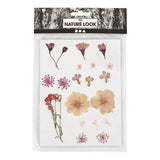 Creativ Company fleurs séchées et laisse du rose clair