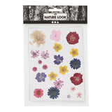 Creativ Company Sèche des fleurs et laisse différentes couleurs
