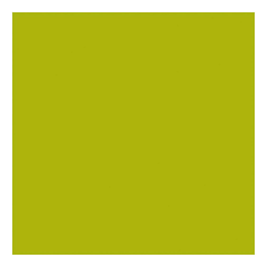 Société créative https: www.ccobby.nl peinture-acrylique-avec-paillettes-lime-green-500-ml-1-bottle