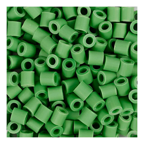 Société créative https : www.cchobby.nl biobeads-van-nabbi-afm-5x5-mm-holesize-2-5-mm-medium-green-3000-piece-1-box