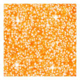 Entreprise créative https: www.ccobby.nl foam-clayr-glitter-orange-35-gr-1-doosje