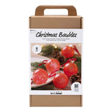 Entreprise créative https: www.ccobby.nl hobbyset-christmas-balls-marmeren-1-doos