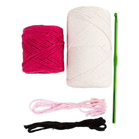 Entreprise créative https: www.ccobby.nl hobbyset-amigurumi-schaap-roze-off-white-1-doos