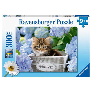 Ravensburger puzzle petit chaton - puzzle - 300 pièces