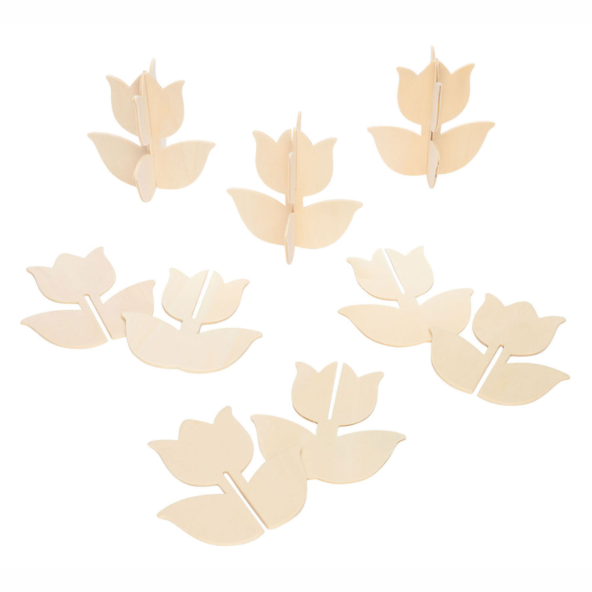 Colorations - réalisez et décorez votre propre tulipe en bois, lot de 12