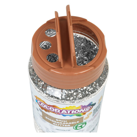 Colorations - paillettes biodégradables - argent, 113 grammes