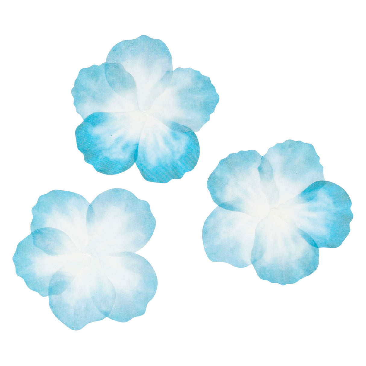 Colorations - Stickers Washi - Pétales bleues, 80e.