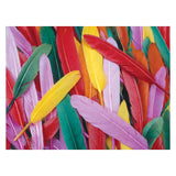 Colorations - Colored Duck Springs, 28,5 grammes