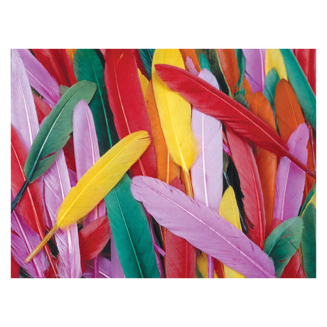 Colorations - Colored Duck Springs, 28,5 grammes