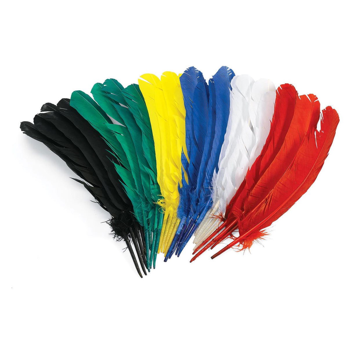 Colorations - plumes 30 cm, ensemble de 24
