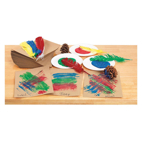 Colorations - plumes 30 cm, ensemble de 24