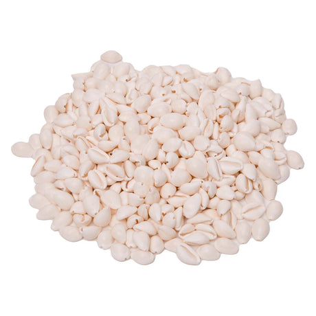Colorations - coquillages cauris, 300g