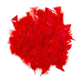 Colorations - plumes rouges, 25 grammes