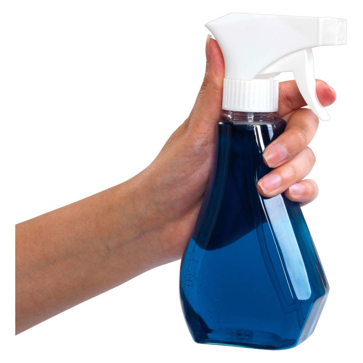 Colorations - spray xl transparent 350 ml, 6 pcs.