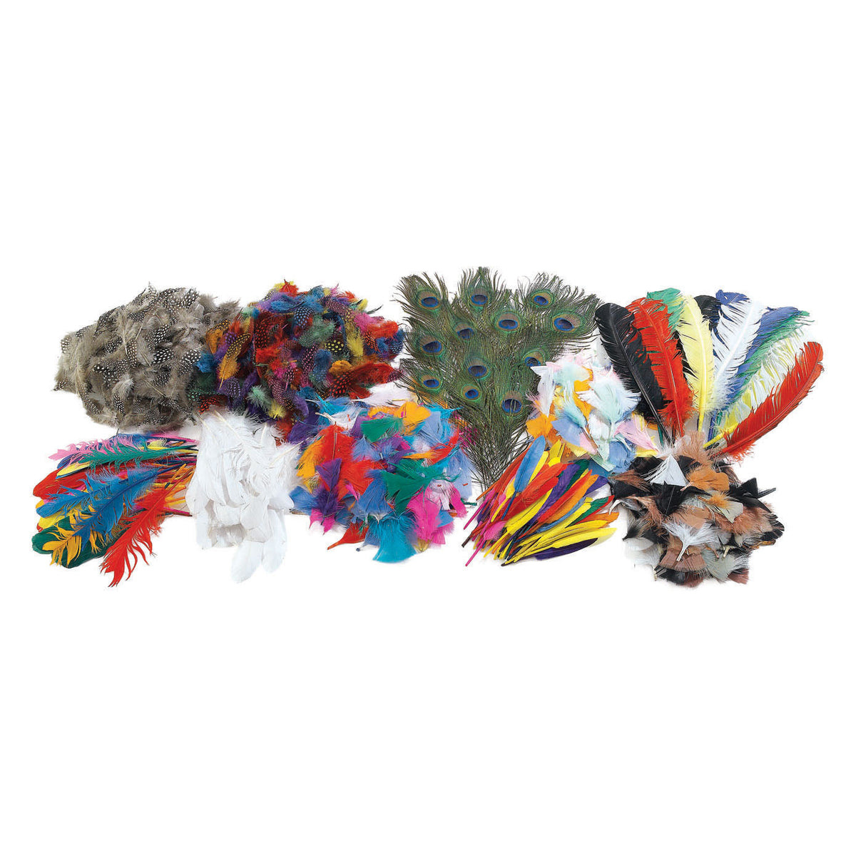 Colorations - kit de bricolage plumes