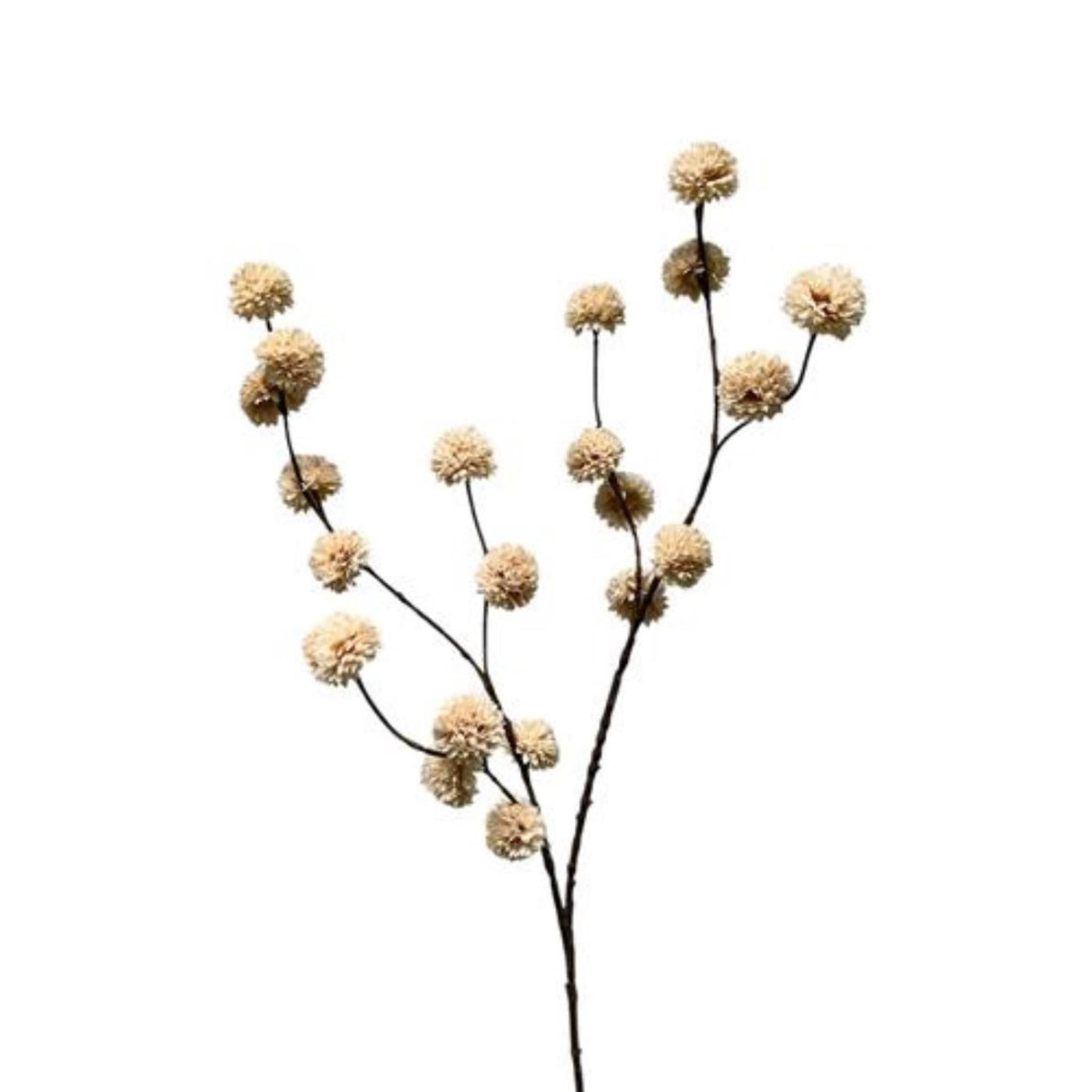 Roberts collection branche artificielle pompon crème 100cm