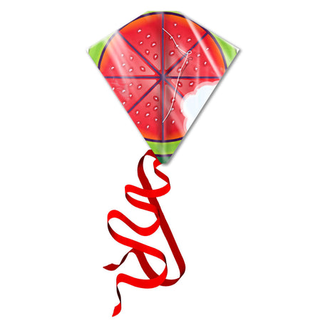 Kites Ready 2 Fly - Vlieger Paserme