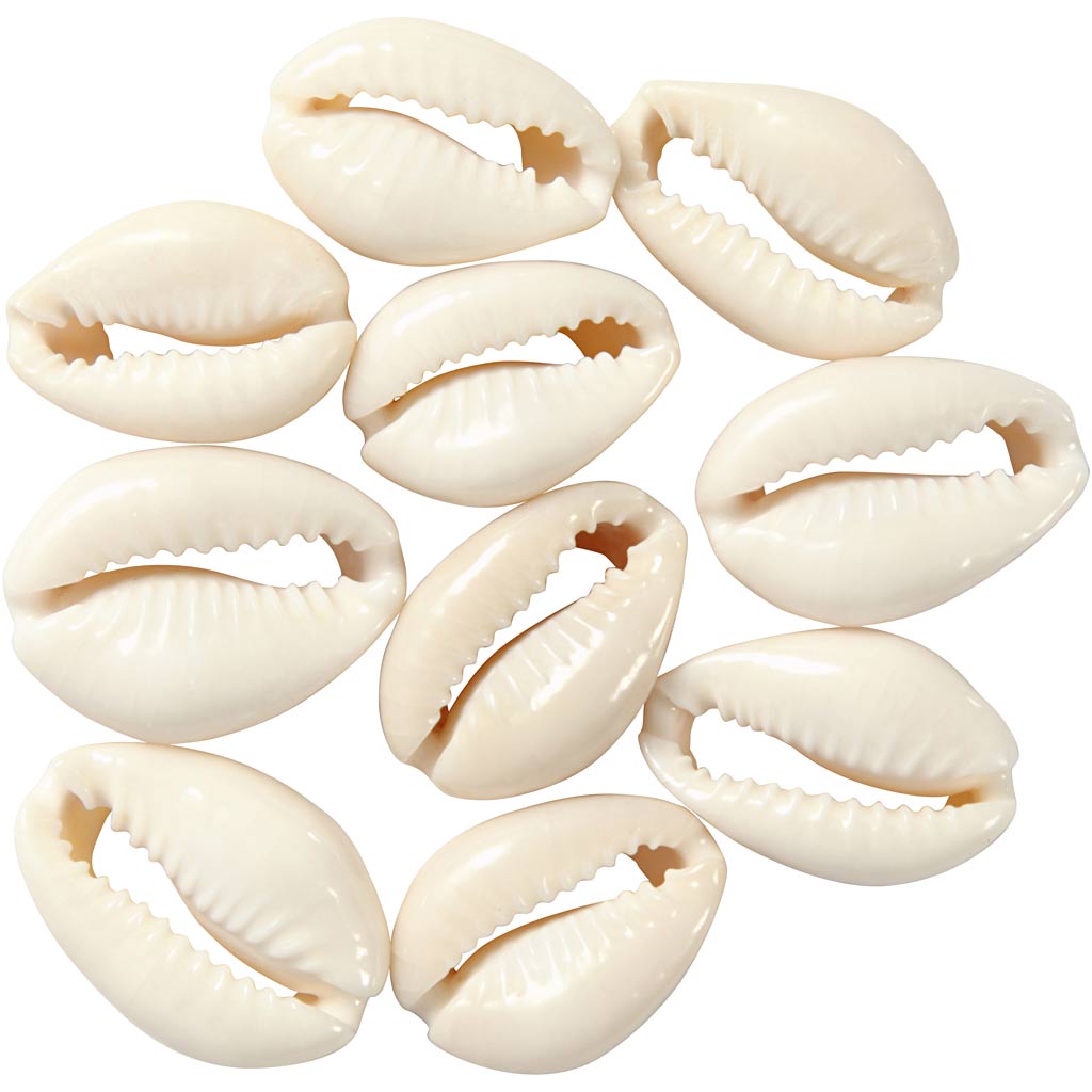 Creativ Company Shells White, 12e.