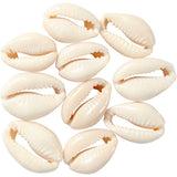 Creativ Company Shells White, 12e.