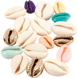 Coquilles d'entreprise Creativ, l: 20 mm, différentes couleurs, 75 pièces 1 boîte