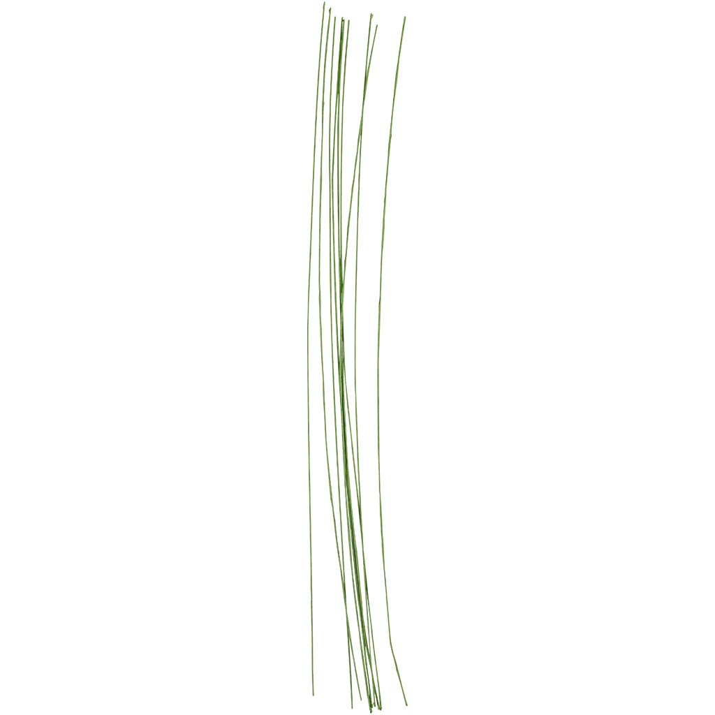Société créative https : www.ccobby.nl tige de fleur fil-l-30-cm-d-0-6-mm-green-20-piece-1-box