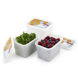 Coffret congélateur Rotho 4 pièces 1l