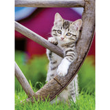 Ravensburger - puzzle - 2 x 500 pièces