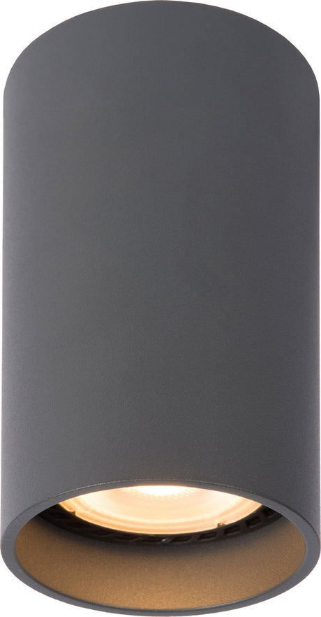 Lucide delto - plafondspot (plafondlamp) - ø 5,5 cm - led dim to warm - gu10 - 1x5w 2200k 3000k - grijs