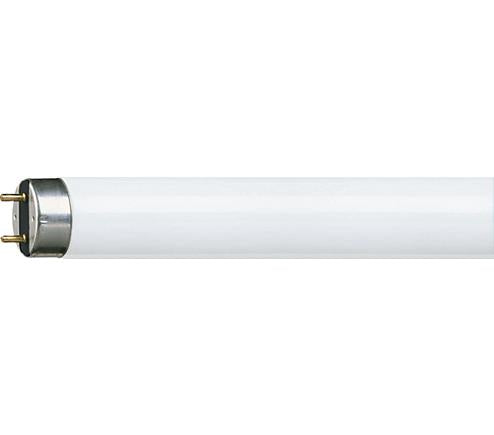 Philips fluorescent tube 58w 840 master secura cool white | 25 pièces