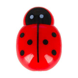 Aimants coccinelle, 6 pcs.