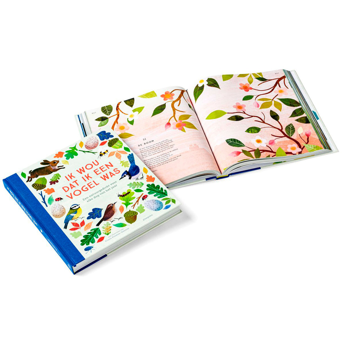 Maison centrale du livre J'aimerais être un oiseau