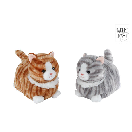 Take me home chat couché peluche 25cm 2 assortis