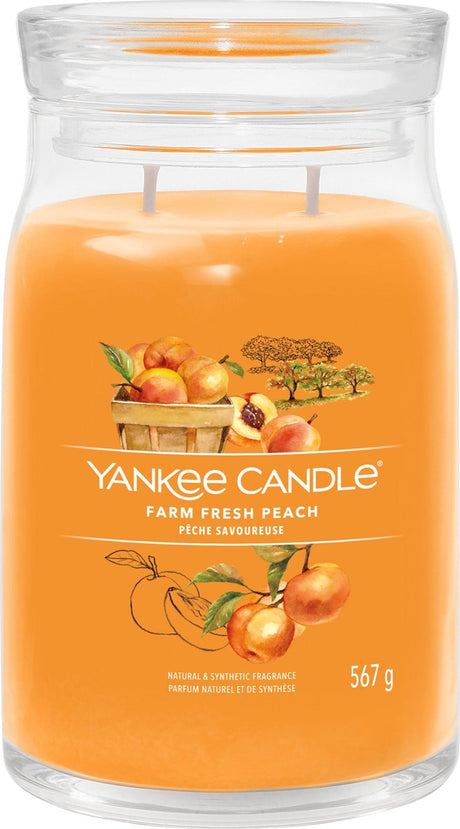 Bougie Yankee - bougie parfumée en grand pot de pêche fraîche de la ferme - 90 heures de combustion - deux mèches