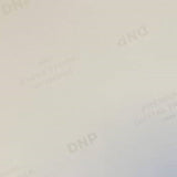 DNP Papier standard DSRX1HS-4X6 2 Roll � 700 St. 10x15 pour DS-RX1HS