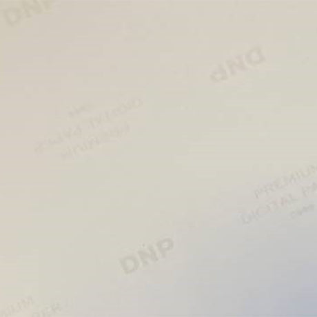 DNP Papier standard DSRX1HS-4X6 2 Roll � 700 St. 10x15 pour DS-RX1HS