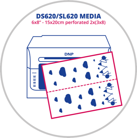 Papier DNP 2 rouleaux – 200 pcs. 15x20 perforé sur 7,5x20 pour ds620