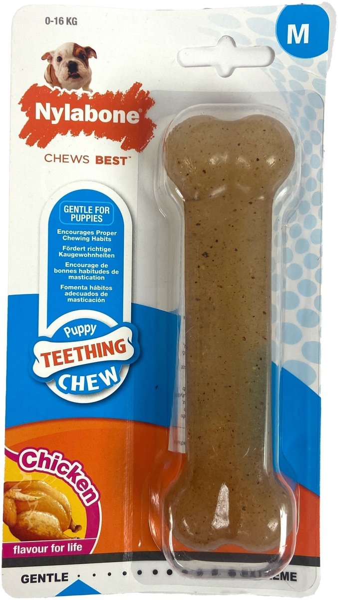 Nylabone chiot mâcher le goût du poulet