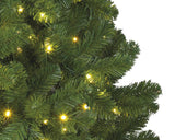 Sapin de Noël Everlands pin impérial210cm + éclairage LED