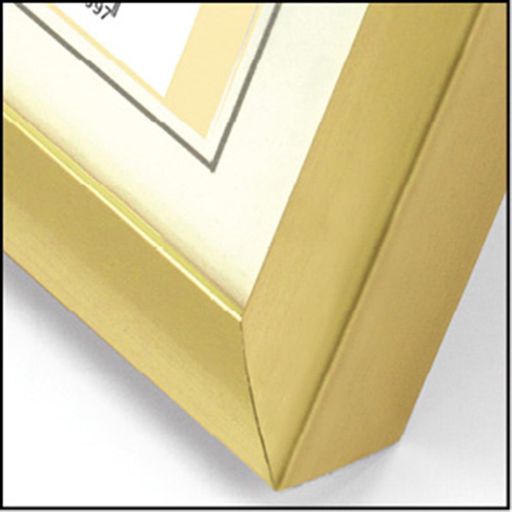 Zep nouveau cadre en plastique easy gold 30x40 kg5
