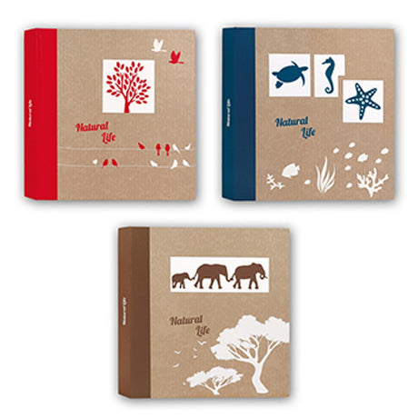 ZEP NF293150 album de pergamine 50 feuilles 29x31 cm 6 pièces