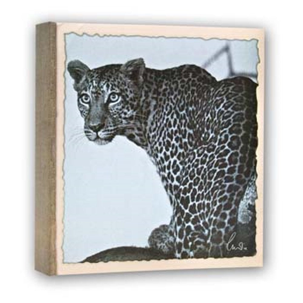 Zep WL57100 Album Slip -in 100 photos 13x19 cm - 12 albums