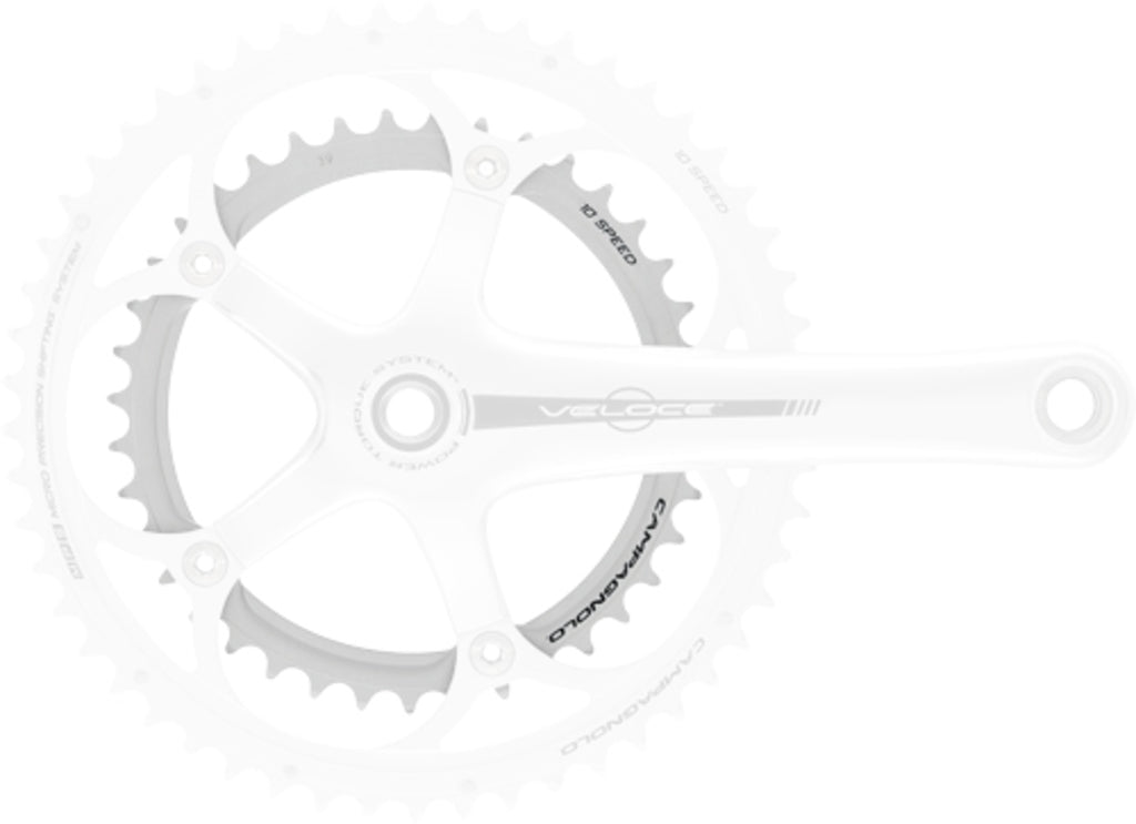 Vitesse du plateau Campagnolo