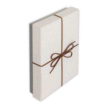 Box de rangement ZEP BX3514A BOX PIACENZA A 15.3X21.4X4