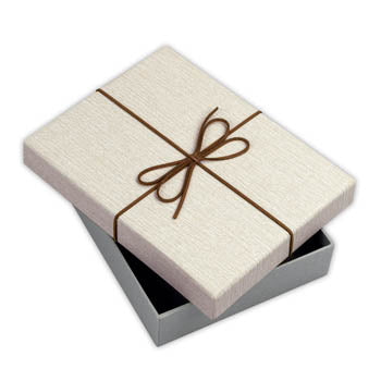 Box de rangement ZEP BX3514A BOX PIACENZA A 15.3X21.4X4